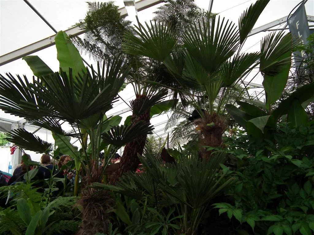 Floral marquee in the long water area 37